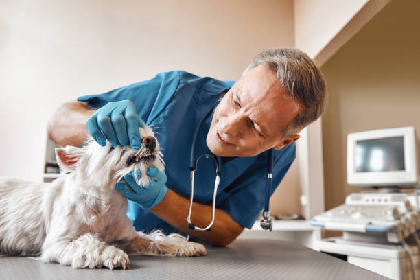Best 24-Hour Emergency Dentist in Palmetto, GA